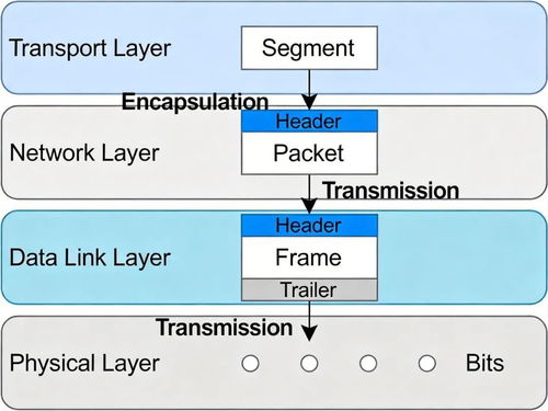軟件設(shè)計(jì)師視角下的網(wǎng)絡(luò)與信息安全 核心框架與OSI七層模型詳解及其在軟件開(kāi)發(fā)中的應(yīng)用